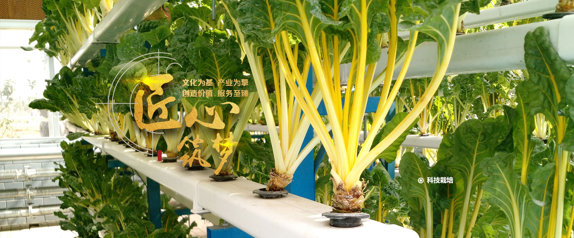 適合精細(xì)粉末、顆粒和液體的篩分，除雜和過濾